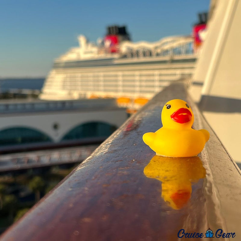 Hidden Cruise Ship Duck Packs